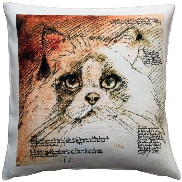 Pillow Decor Ragdoll Cat Pillow 17x17 Indoor Outdoor Poly-Linen Soft Fabric Image 1