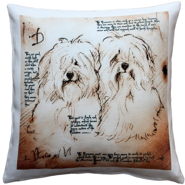 Pillow Decor - Havanese Duo Dog Pillow 17x17 Image 1
