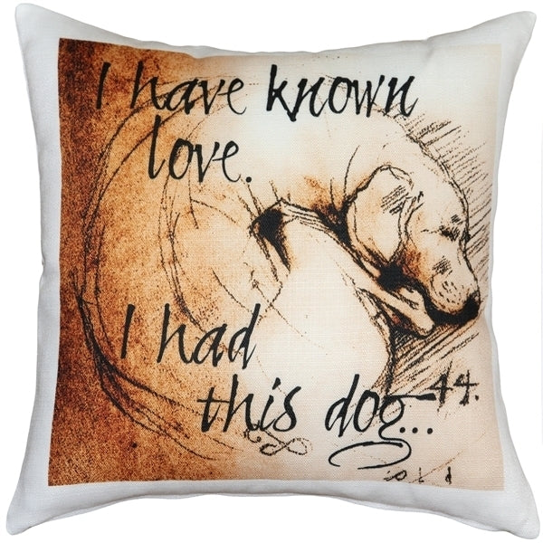 Pillow Decor - I Have Known Love 17x17 Dog Pillow Image 1
