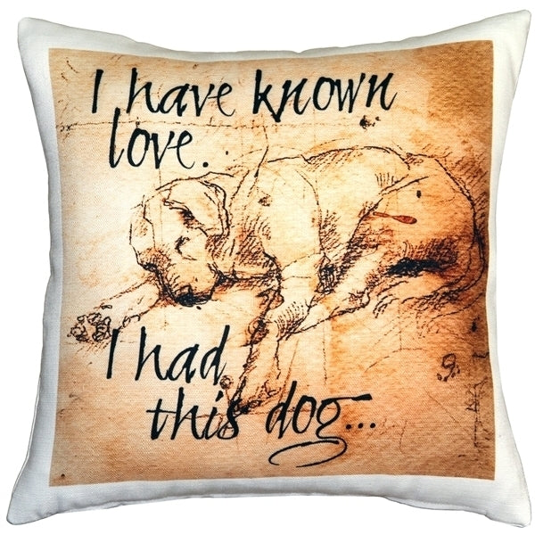 Pillow Decor Sleeping Lab Dog Pillow 17x17 Indoor Outdoor Poly Linen Fabric Image 1