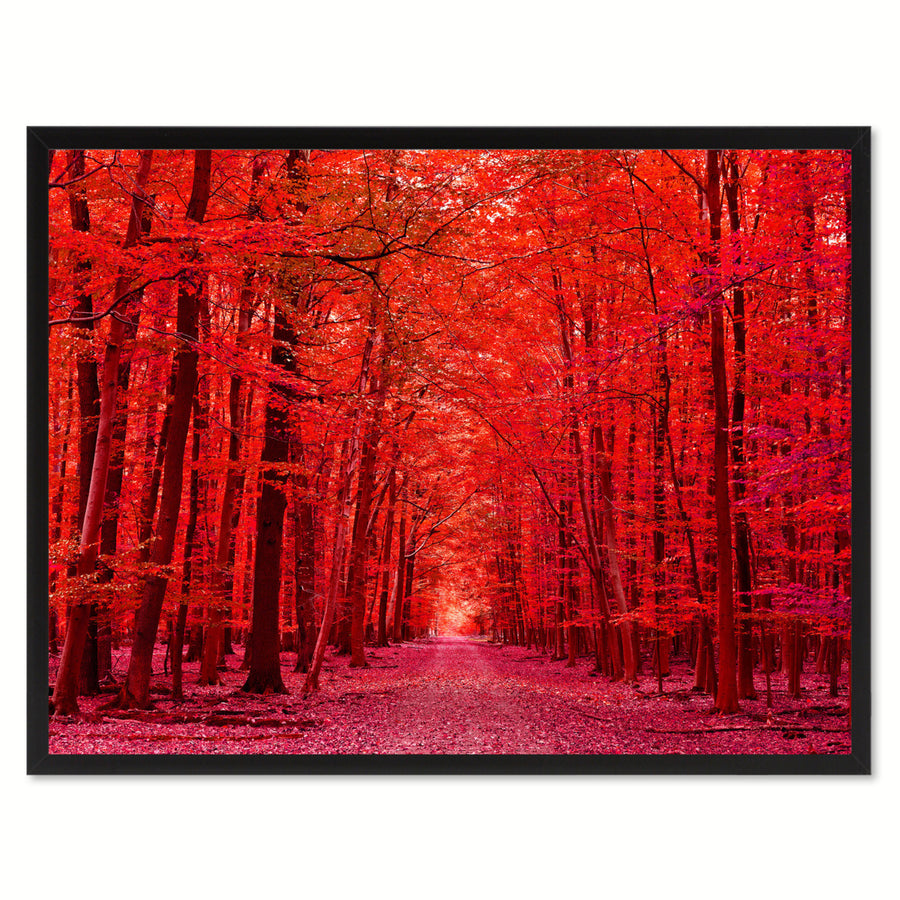 Autumn Road Red Landscape Photo Canvas Print Pictures Frames  Wall Art Gifts Image 1