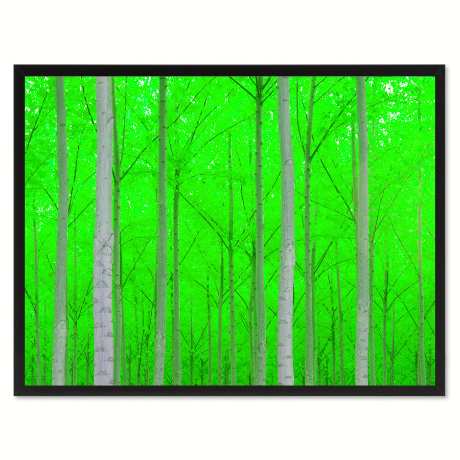 Autumn Tree Green Landscape Photo Canvas Print Pictures Frames  Wall Art Gifts Image 1