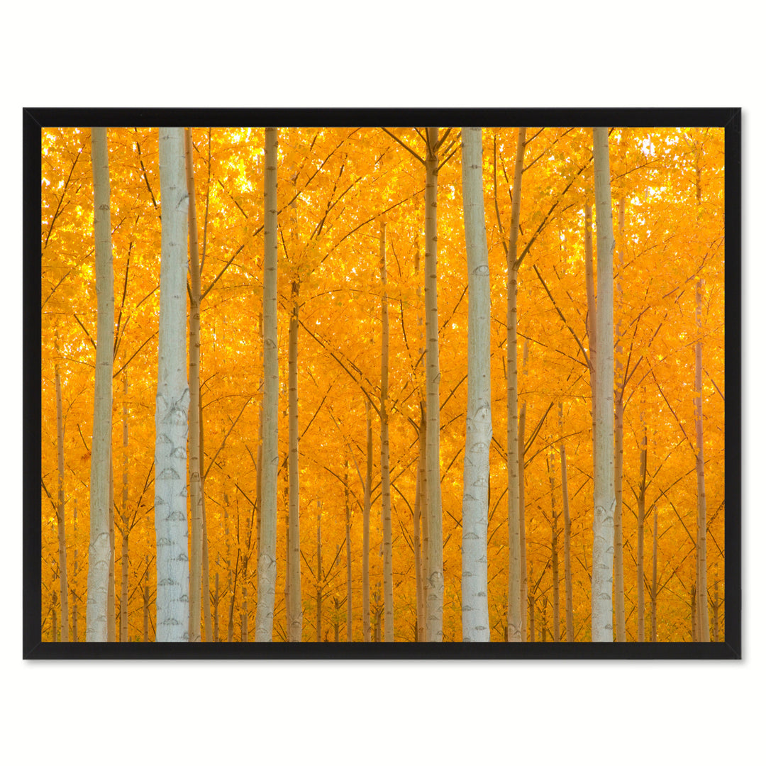 Autumn Tree Orange Landscape Photo Canvas Print Pictures Frames  Wall Art Gifts Image 1