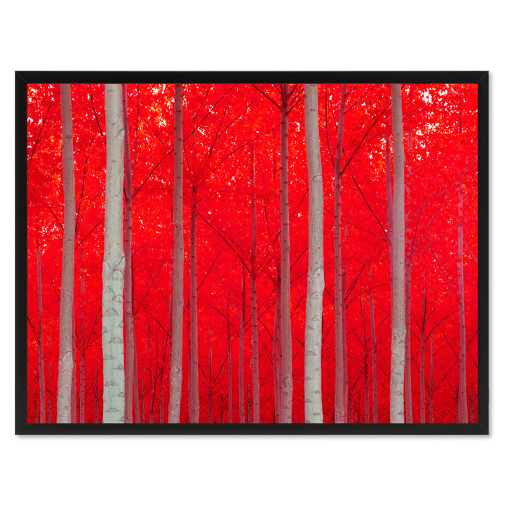 Autumn Tree Red Landscape Photo Canvas Print Pictures Frames  Wall Art Gifts Image 1