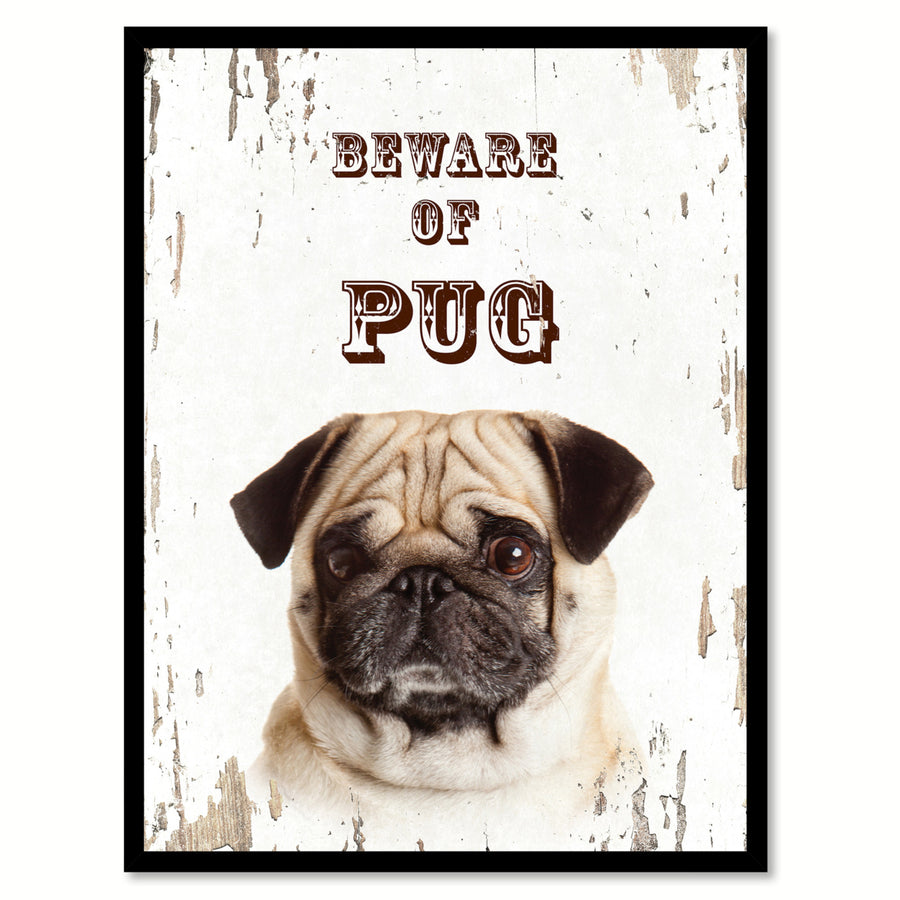 Beware of Pug Dog Sign Gifts Canvas Print  Picture Frames Wall Art Image 1