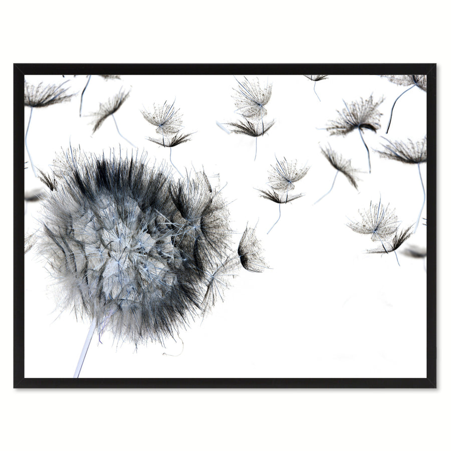 Black Dandelion Flower Framed Canvas Print  Wall Art Image 1