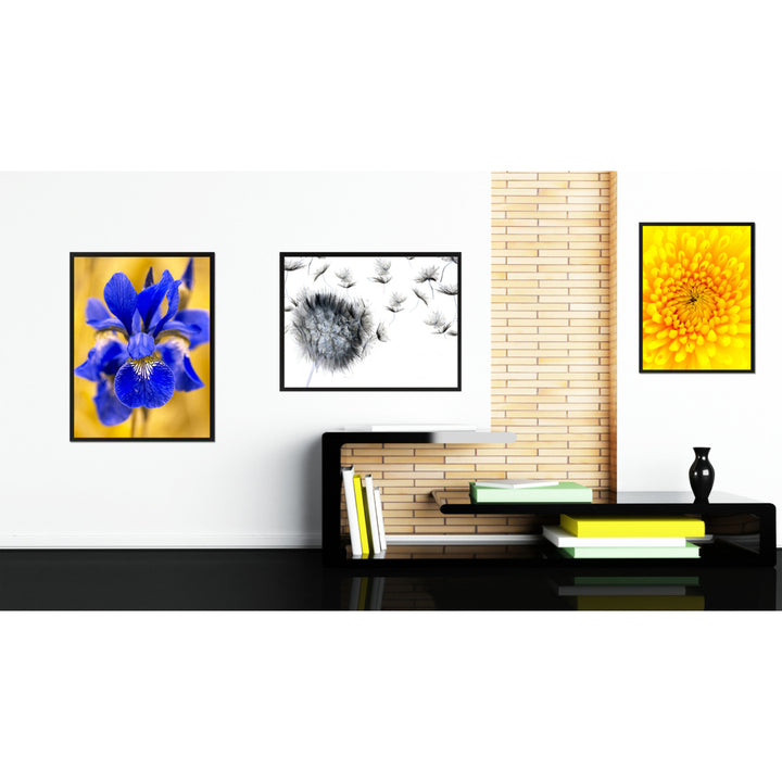 Black Dandelion Flower Framed Canvas Print  Wall Art Image 3