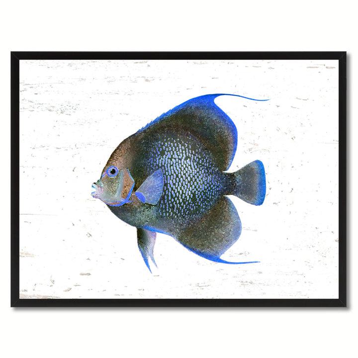 Blue Angel Tropical Fish Painting Reproduction Gifts  Wall Art Canvas Prints Picture Frames Image 1