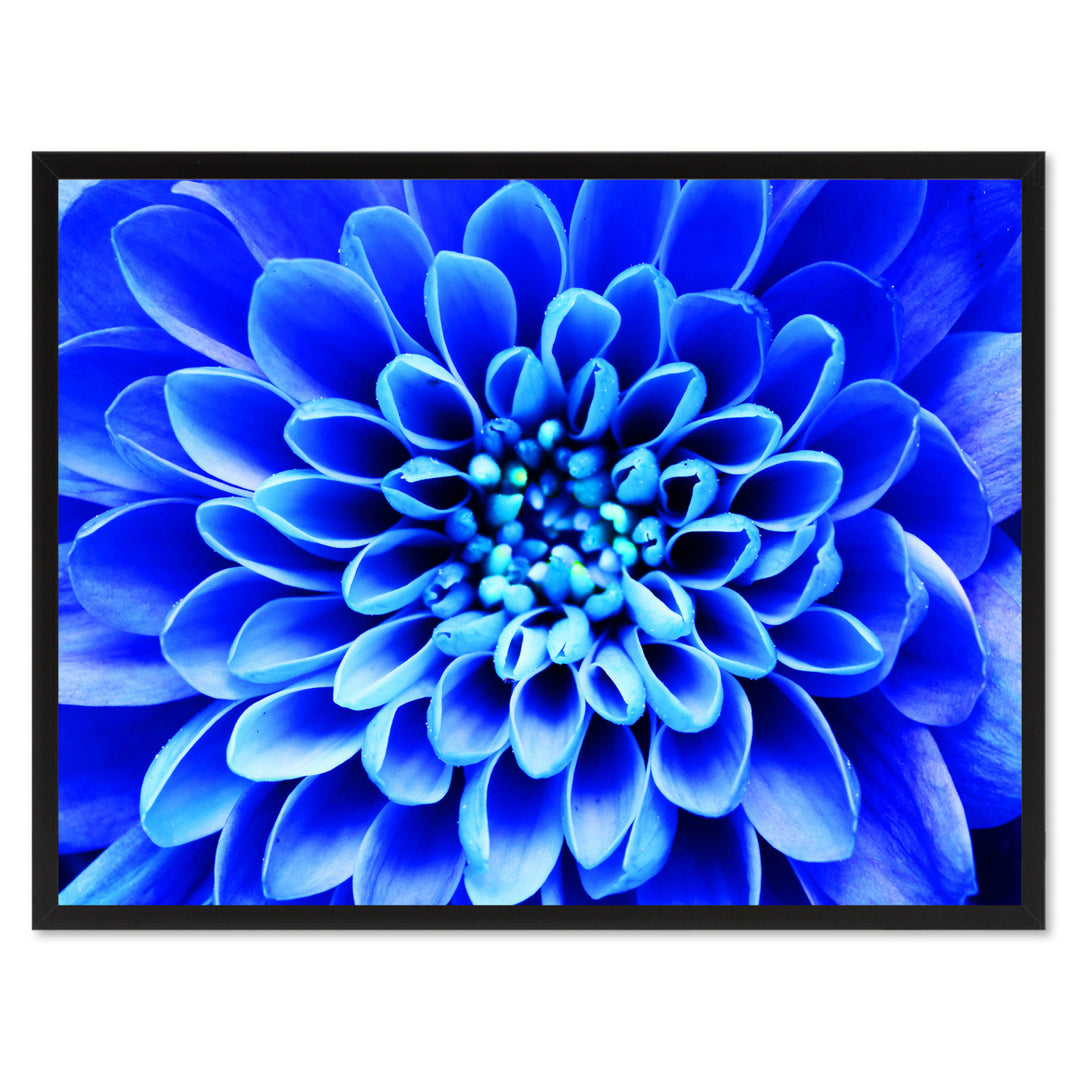 Blue Chrysanthemum Flower Framed Canvas Print  Wall Art Image 1