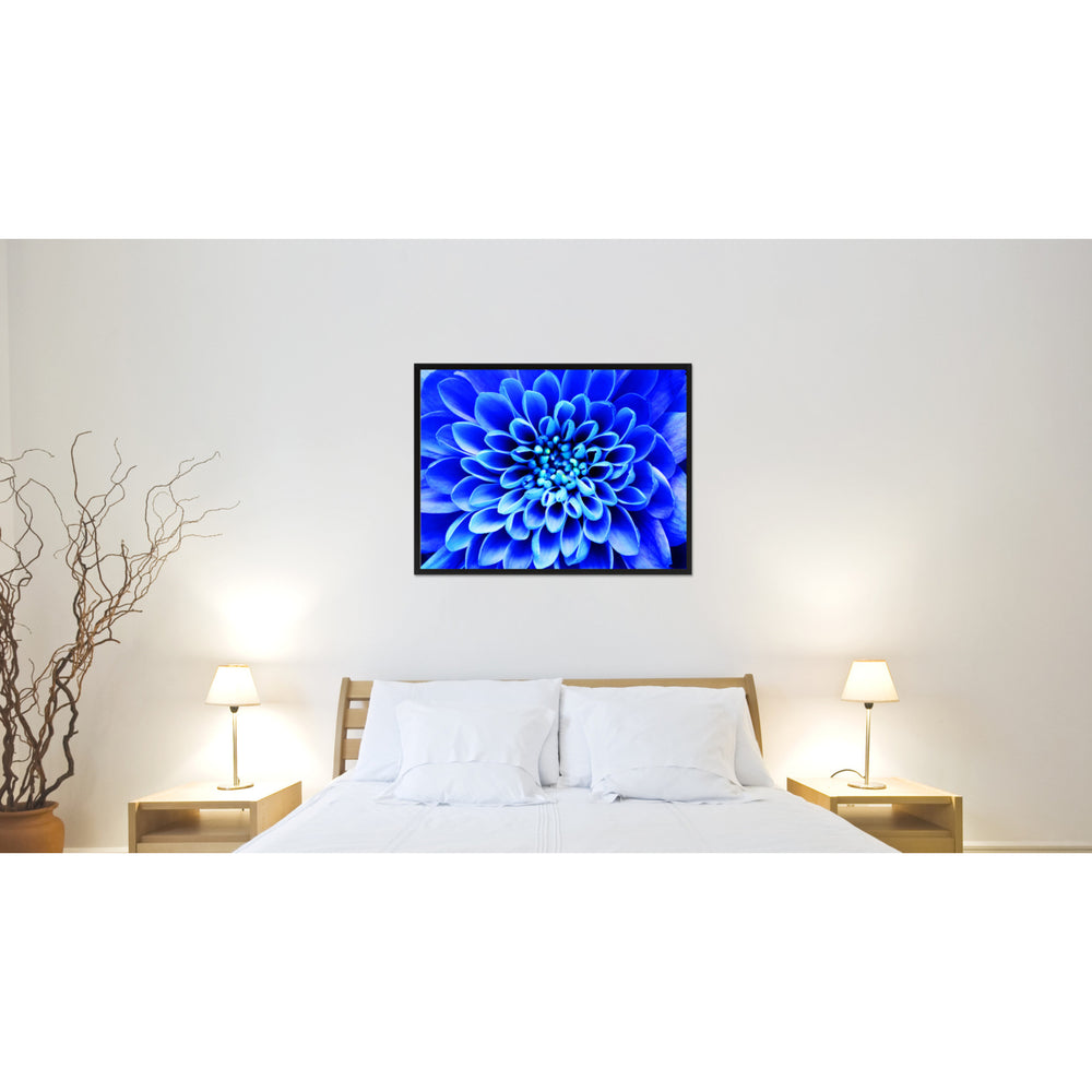 Blue Chrysanthemum Flower Framed Canvas Print  Wall Art Image 2