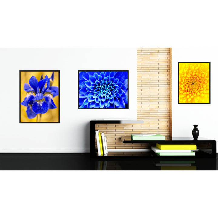 Blue Chrysanthemum Flower Framed Canvas Print  Wall Art Image 3