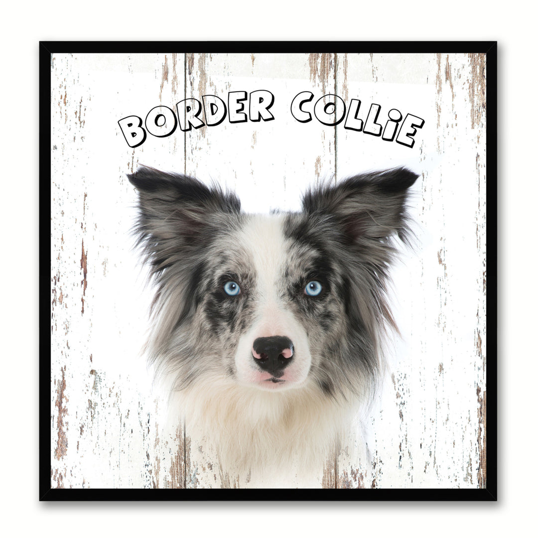 Border Collie Dog Canvas Print with Picture Frame Gift  Wall Art Decoration Image 1