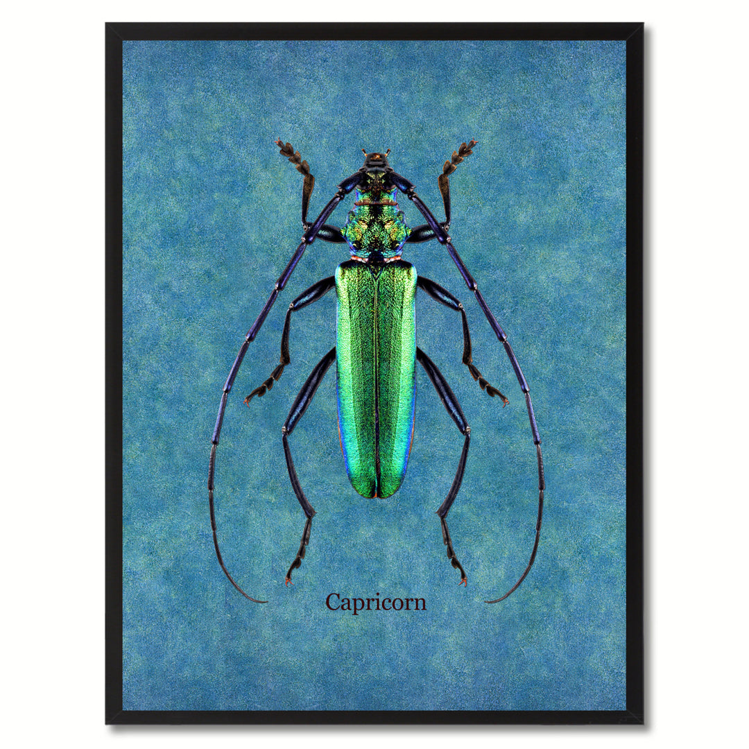 Capricorn Blue Canvas Print with Picture Frames  Wall Art Gifts Image 1