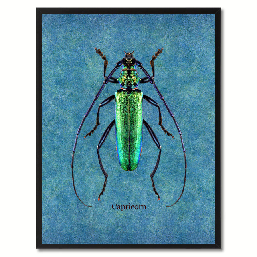 Capricorn Blue Canvas Print with Picture Frames  Wall Art Gifts Image 1