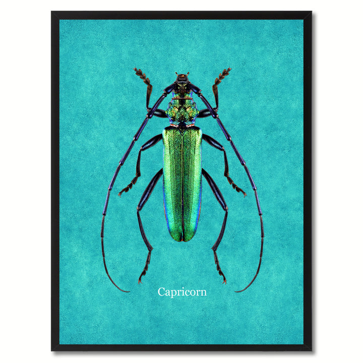 Capricorn Aqua Canvas Print with Picture Frames  Wall Art Gifts Image 1
