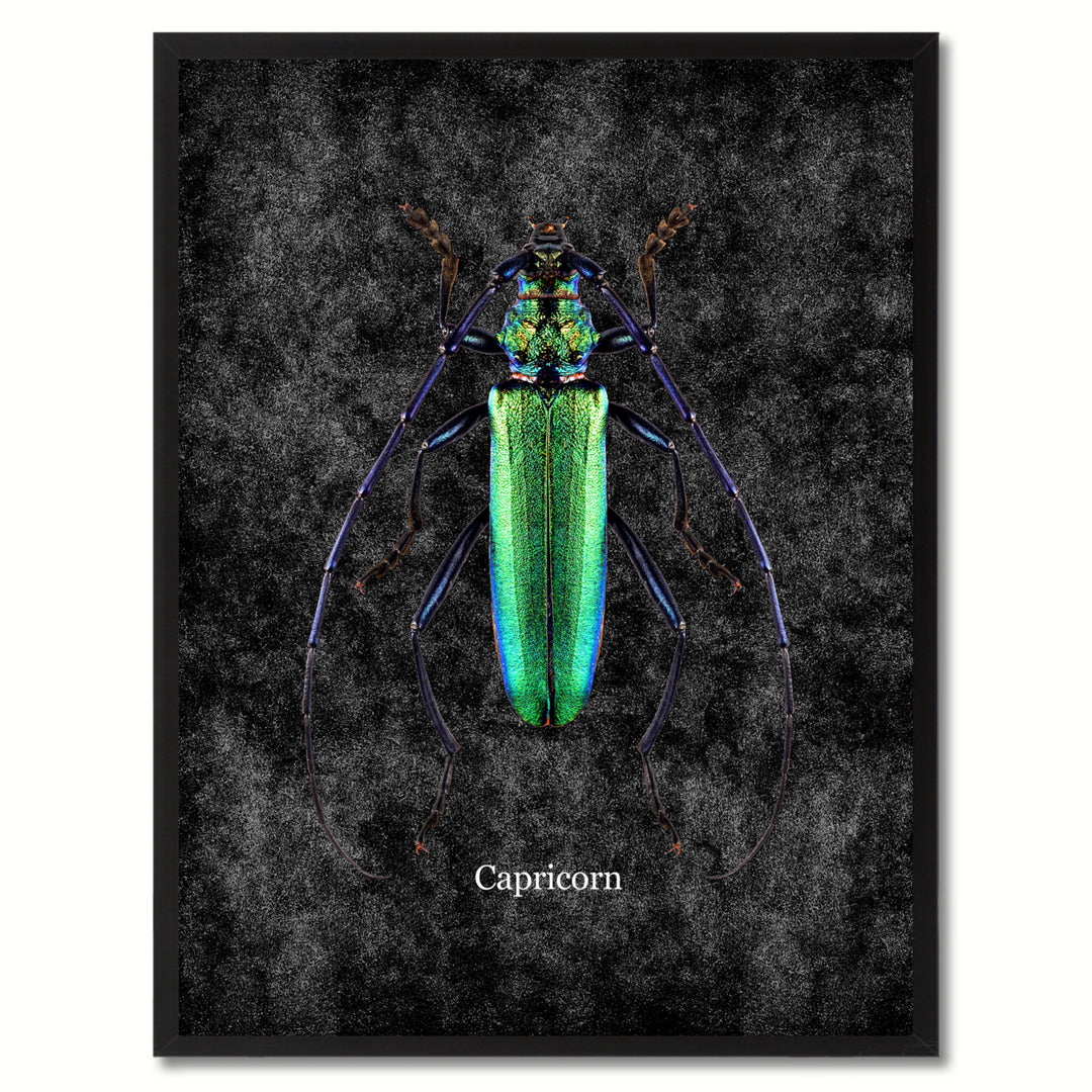 Capricorn Black Canvas Print with Picture Frames  Wall Art Gifts Image 1