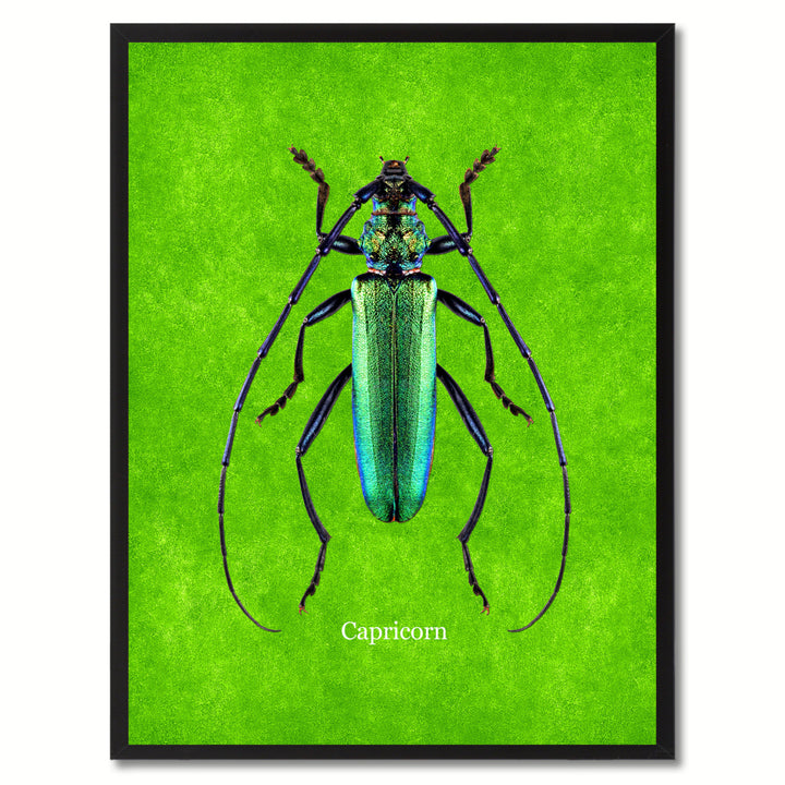 Capricorn Green Canvas Print with Picture Frames  Wall Art Gifts Image 1
