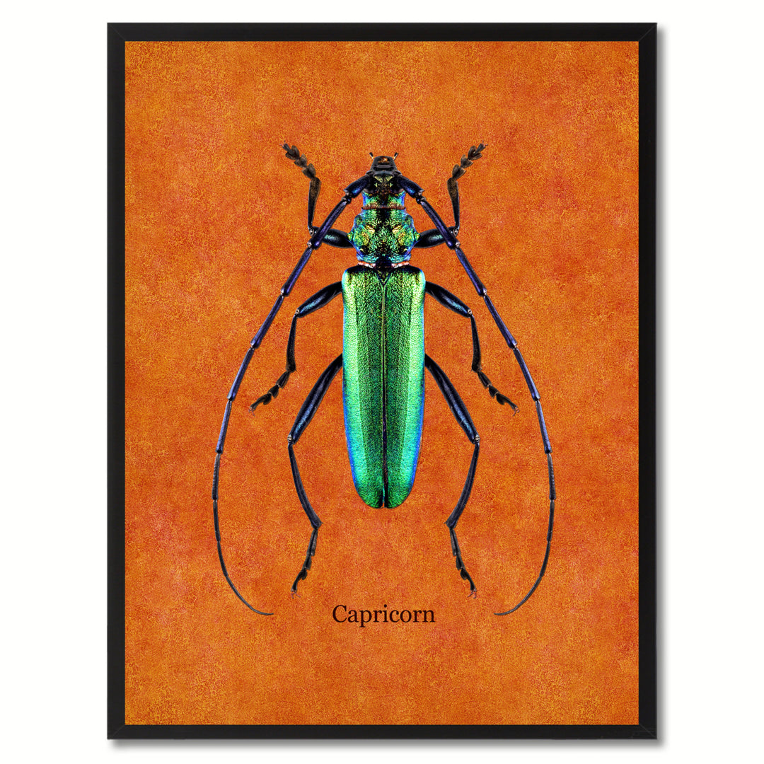 Capricorn Orange Canvas Print with Picture Frames  Wall Art Gifts Image 1