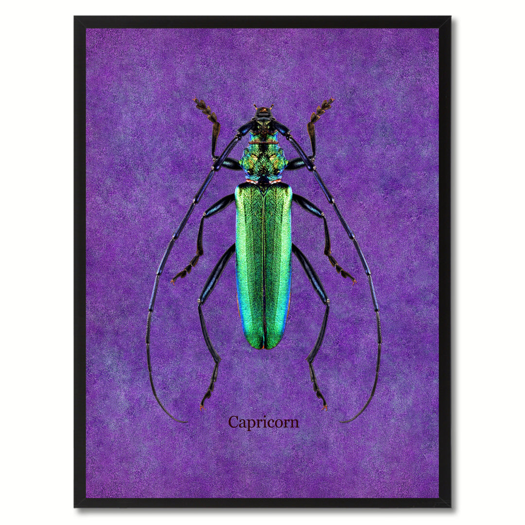 Capricorn Purple Canvas Print with Picture Frames  Wall Art Gifts Image 1