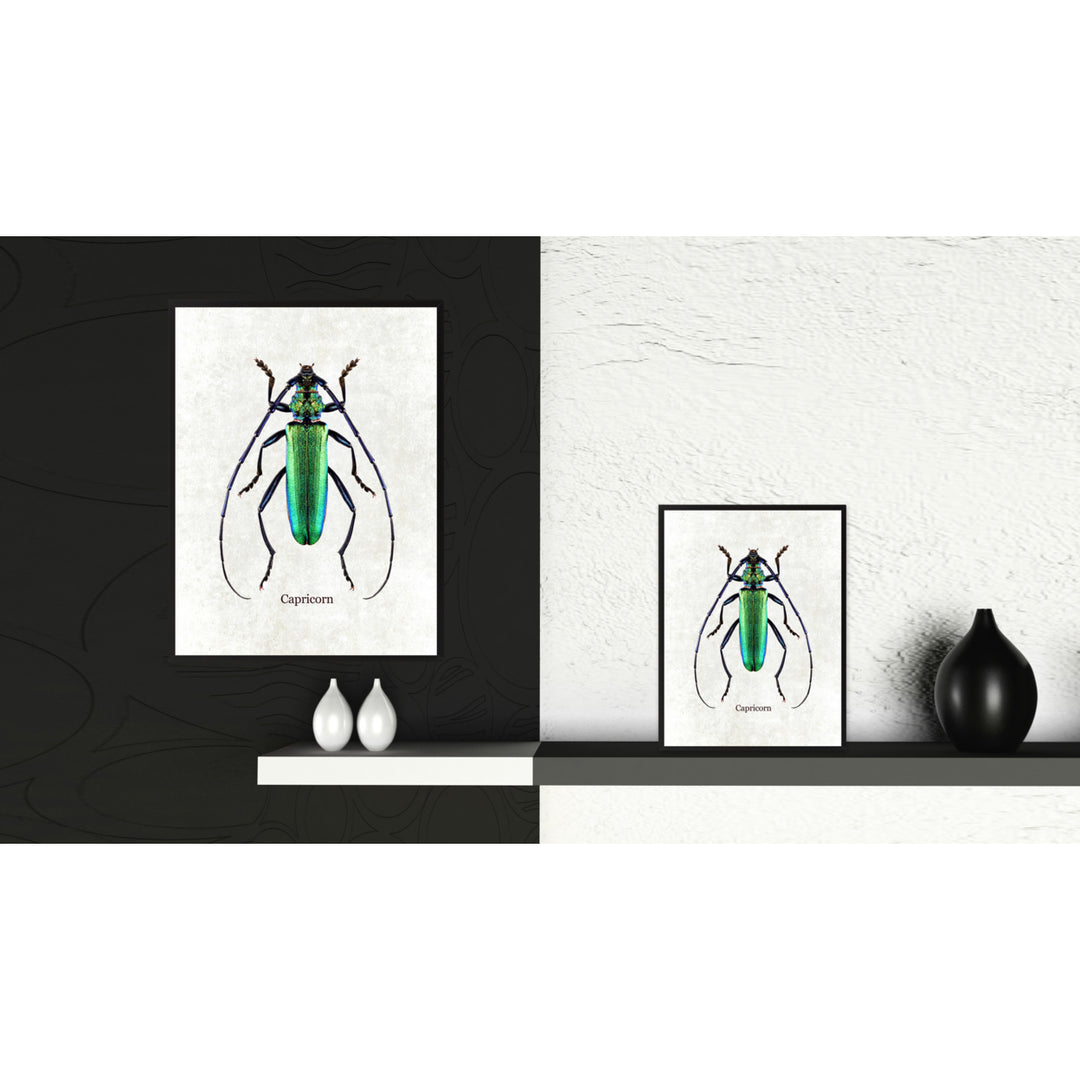Capricorn White Canvas Print with Picture Frames  Wall Art Gifts Image 2