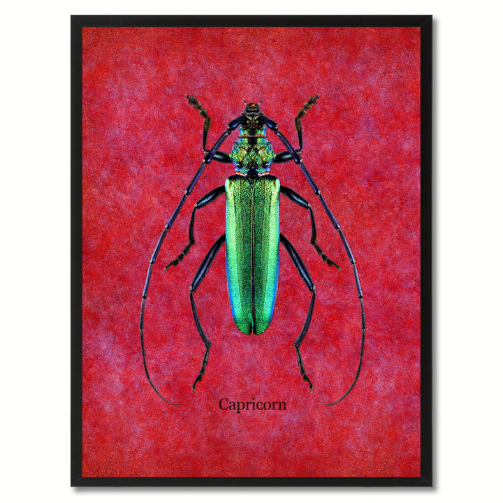 Capricorn Red Canvas Print with Picture Frames  Wall Art Gifts Image 1