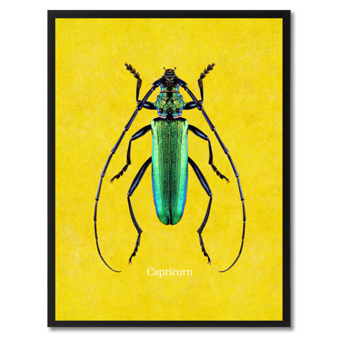 Capricorn Yellow Canvas Print with Picture Frames  Wall Art Gifts Image 1