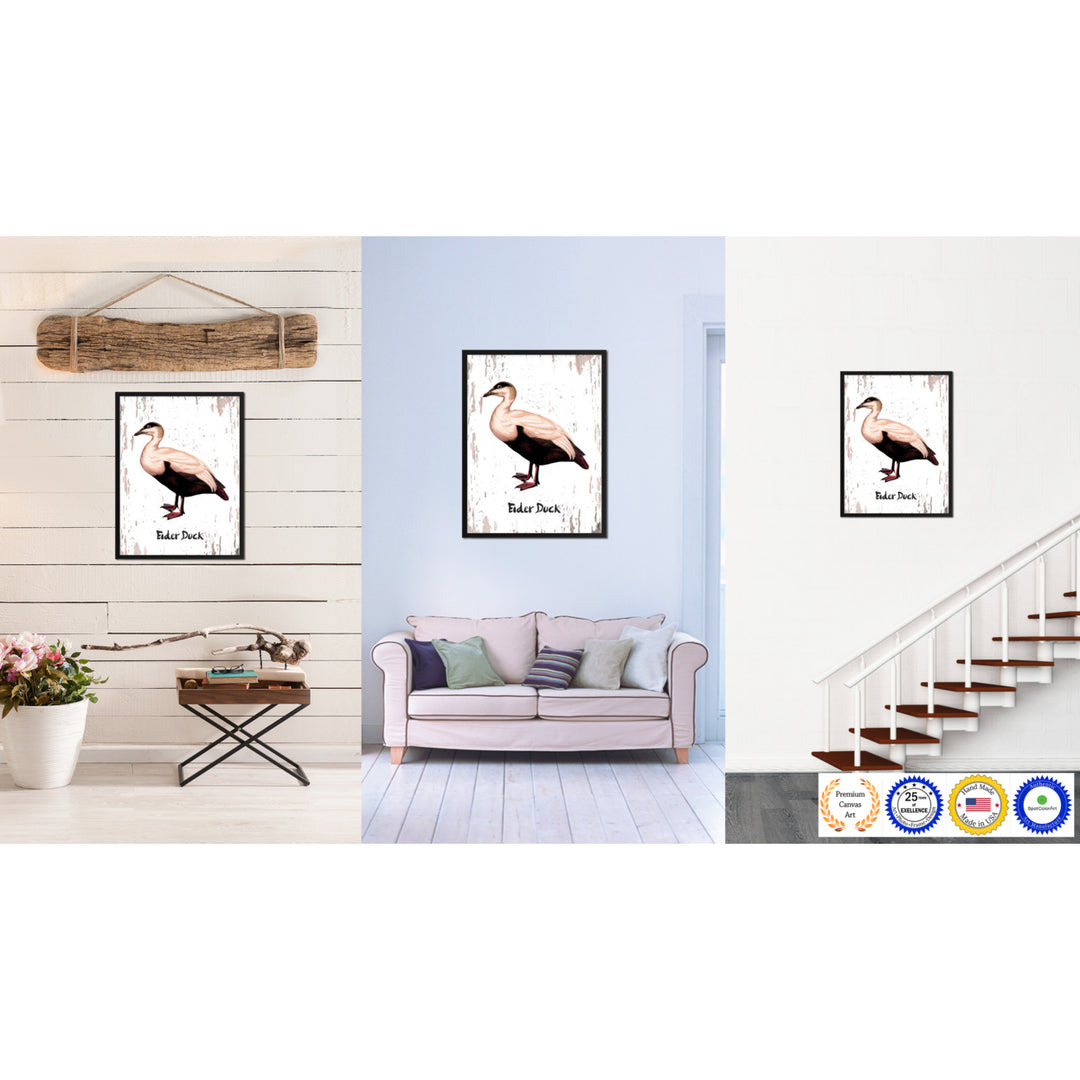 Eider Duck Bird Canvas Print with Black Picture Frame Gift Ideas  Wall Art Decoration Image 2