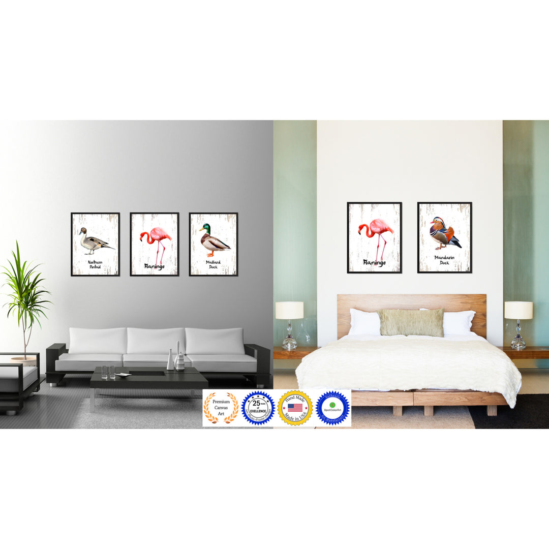 Flamingo Bird Canvas Print with Black Picture Frame Gift Ideas  Wall Art Decoration Image 3