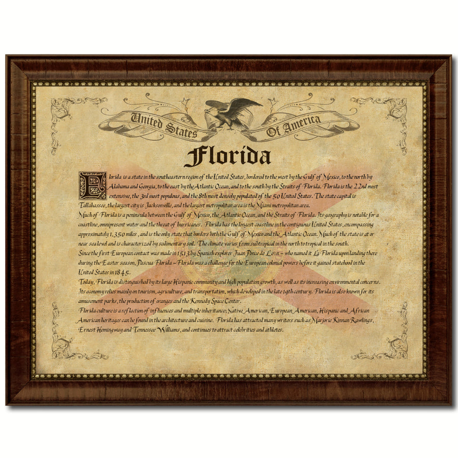 Florida State Vintage History Flag Canvas Print with Picture Frame  Wall Art Decoration Gift Ideas Image 1