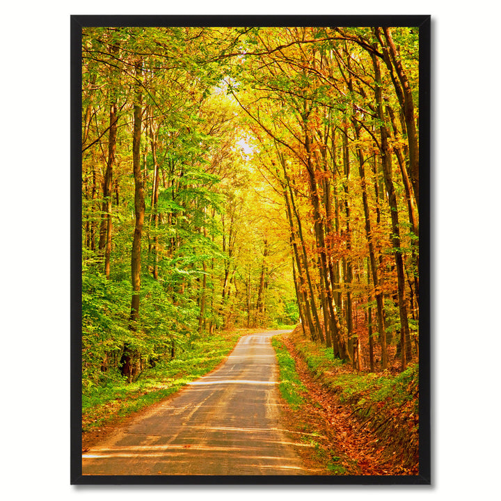 Forest Wood Landscape Photo Canvas Print Pictures Frames  Wall Art Gifts Image 1
