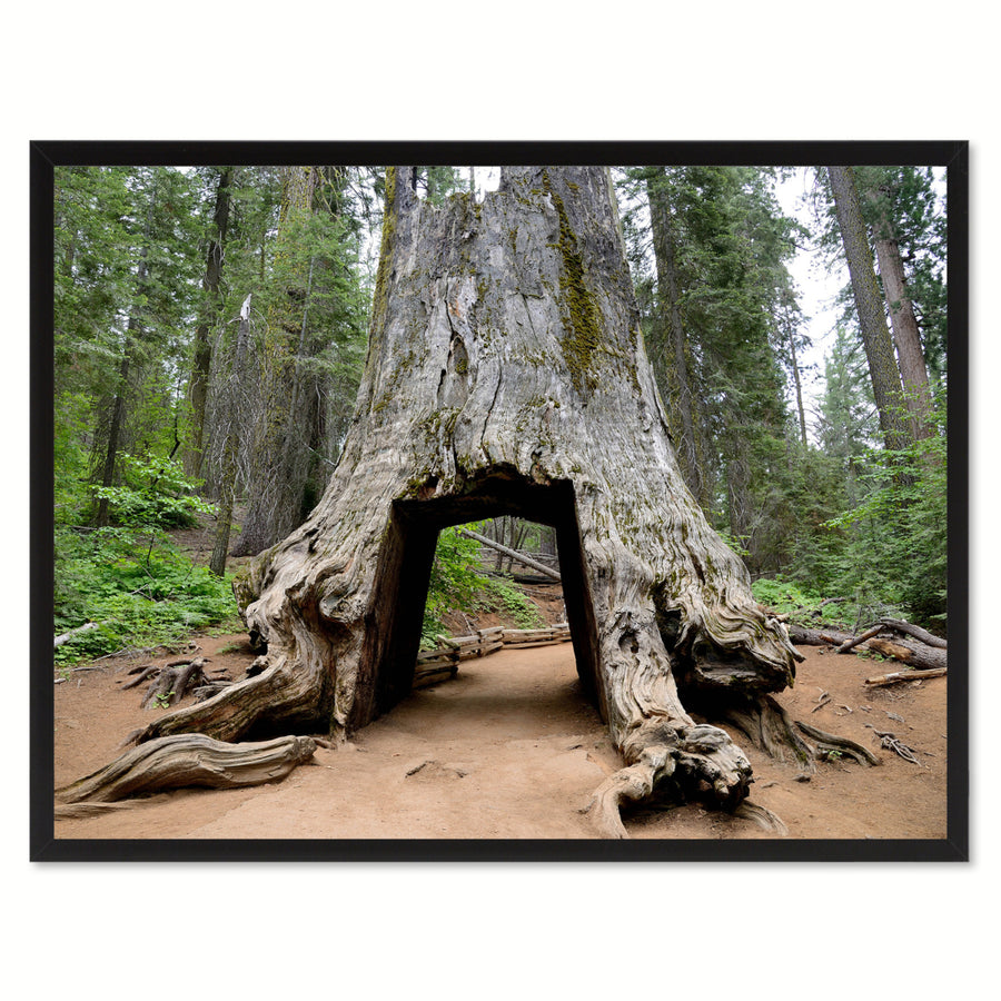 Giant Sequoia Tree Yosemite Landscape Photo Canvas Print Pictures Frames  Wall Art Gifts Image 1