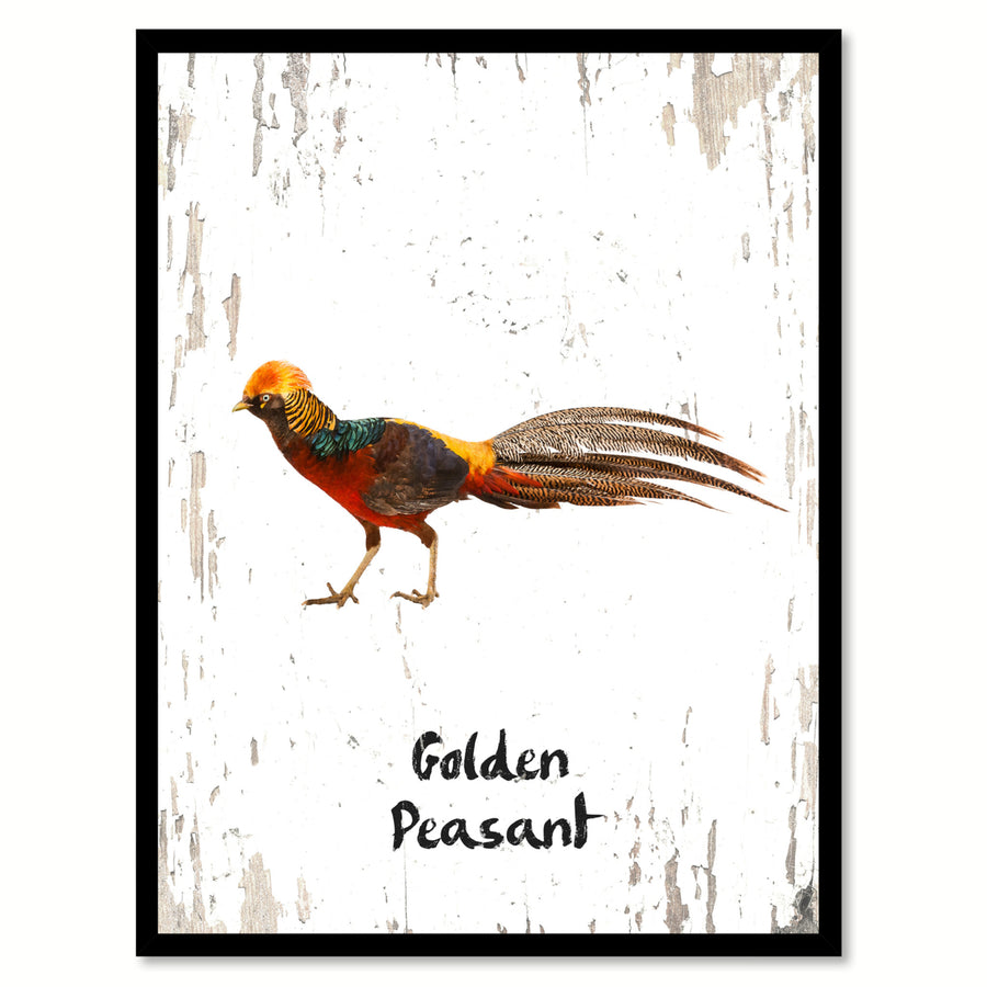 Golden Peasant Bird Canvas Print with Black Picture Frame Gift Ideas  Wall Art Decoration Image 1