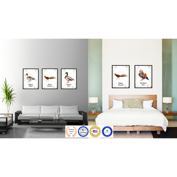 Golden Peasant Bird Canvas Print with Black Picture Frame Gift Ideas  Wall Art Decoration Image 3