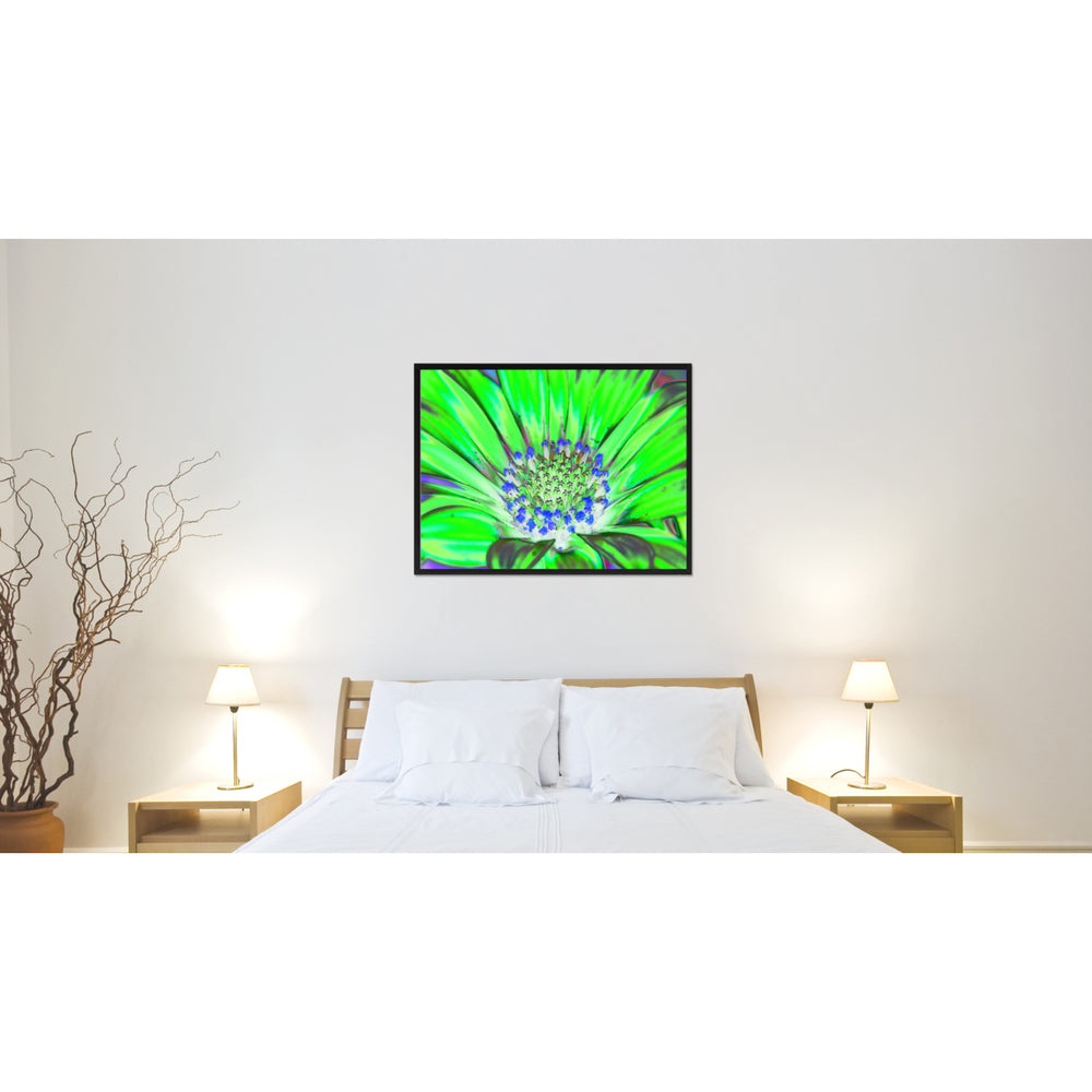 Green Gazania Flower Framed Canvas Print  Wall Art Image 2