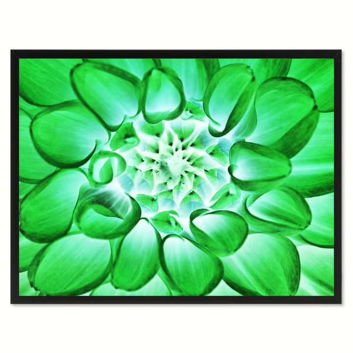 Green Chrysanthemum Flower Framed Canvas Print  Wall Art Image 1