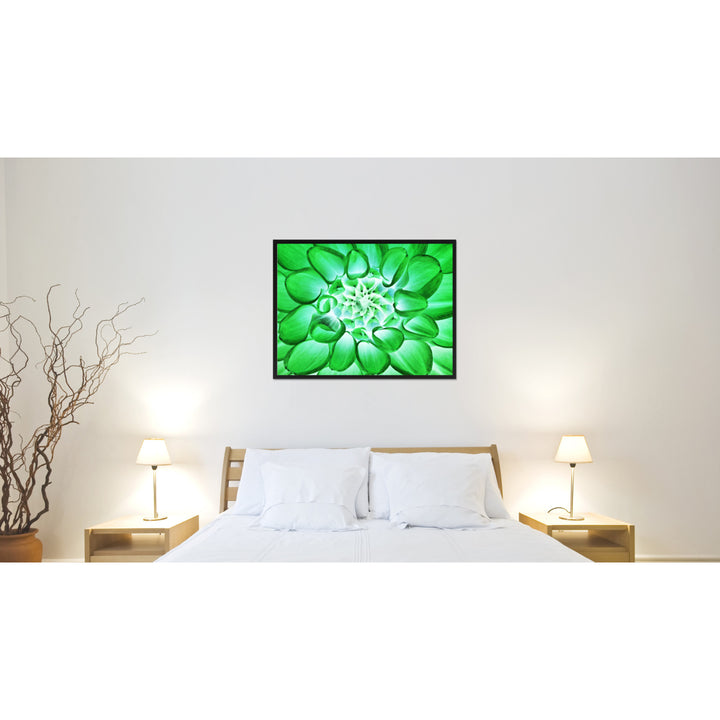 Green Chrysanthemum Flower Framed Canvas Print  Wall Art Image 2