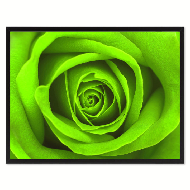 Green Rose Flower Framed Canvas Print  Wall Art Image 1