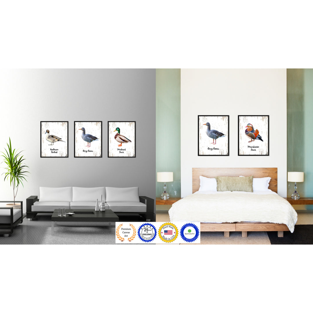 Grey Goose Bird Canvas Print with Black Picture Frame Gift Ideas  Wall Art Decoration Image 3