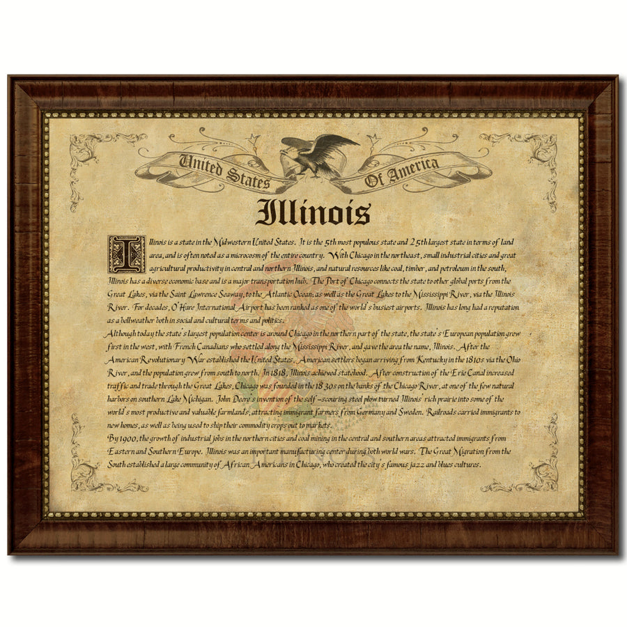 Illnoise Vintage History Flag Canvas Print with Picture Frame Gift Ideas  Wall Art Decoration Image 1