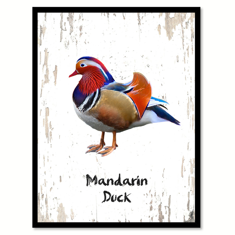 Mandarin Duck Bird Canvas Print with Black Picture Frame Gift Ideas  Wall Art Decoration Image 1