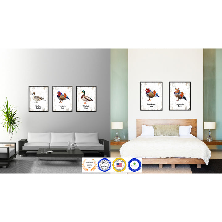 Mandarin Duck Bird Canvas Print with Black Picture Frame Gift Ideas  Wall Art Decoration Image 3