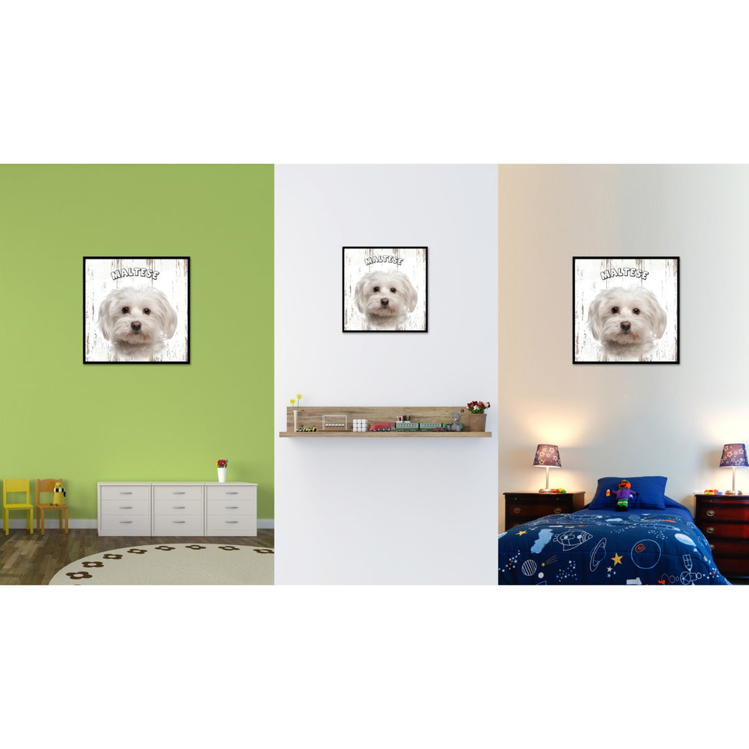 Maltese Dog Canvas Print with Picture Frame Gift  Wall Art Decoration Image 2