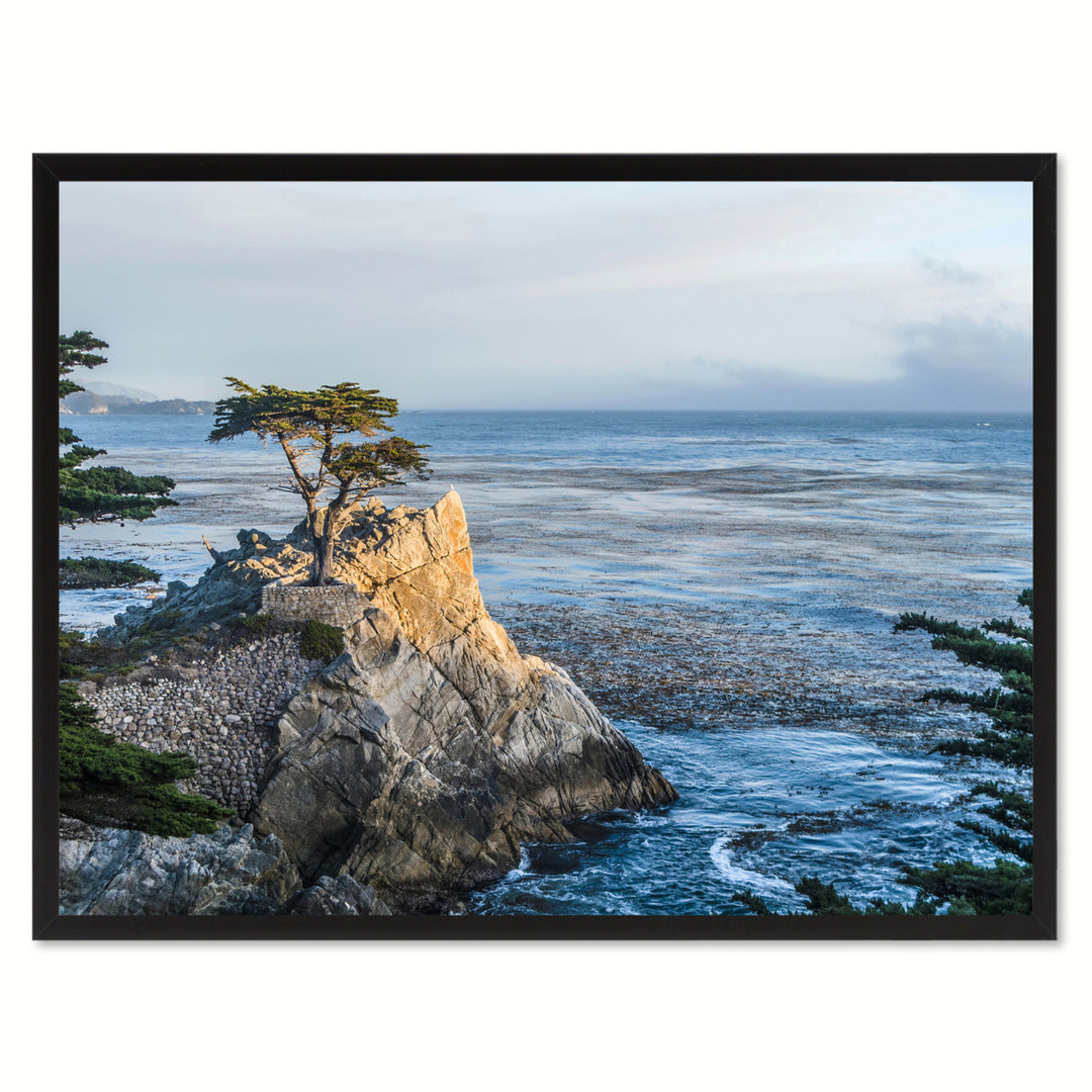 Monterey Cypress Tree Landscape Photo Canvas Print Pictures Frames  Wall Art Gifts Image 1