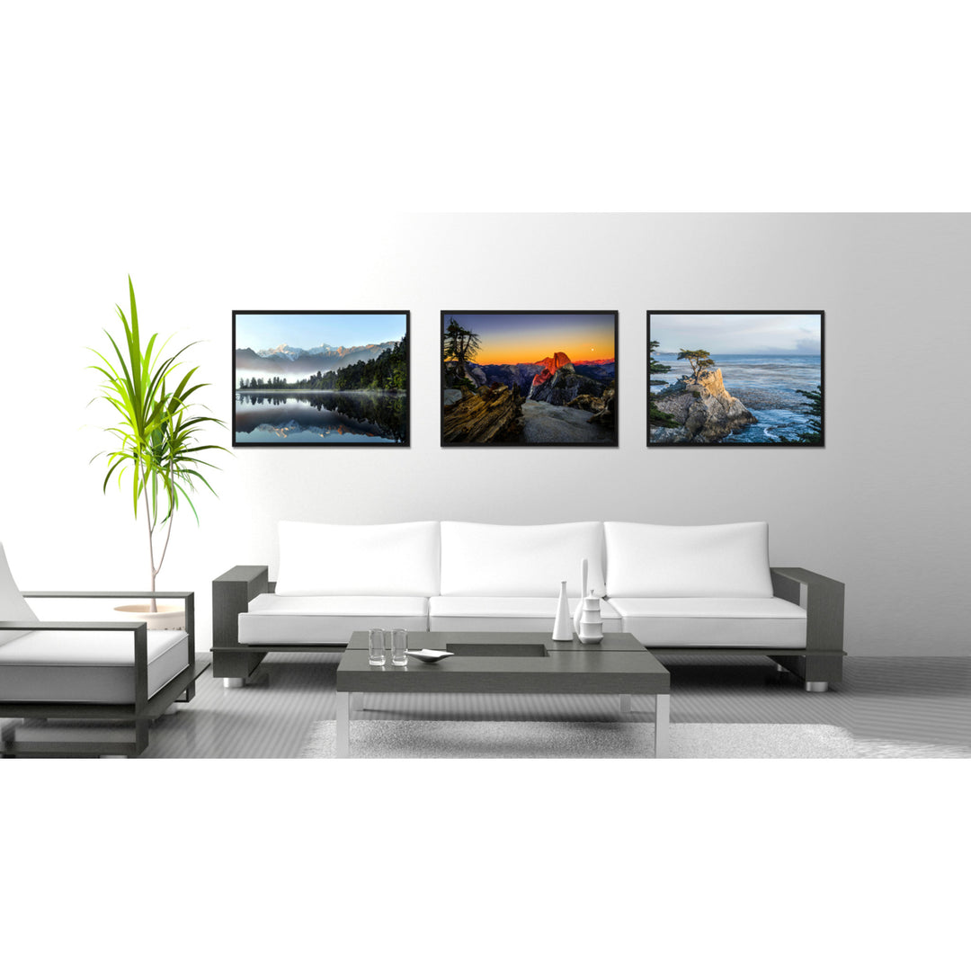 Monterey Cypress Tree Landscape Photo Canvas Print Pictures Frames  Wall Art Gifts Image 2