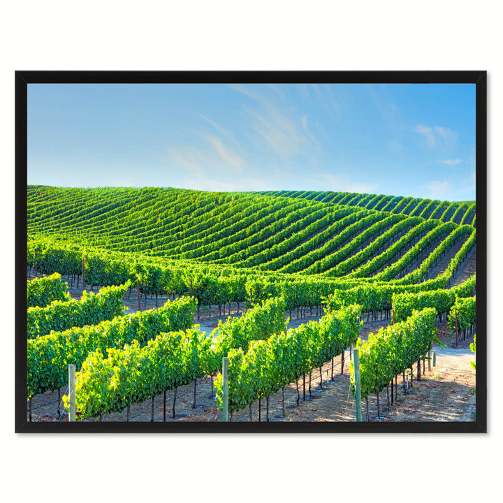 Napa Valley California Landscape Photo Canvas Print Pictures Frames  Wall Art Gifts Image 1