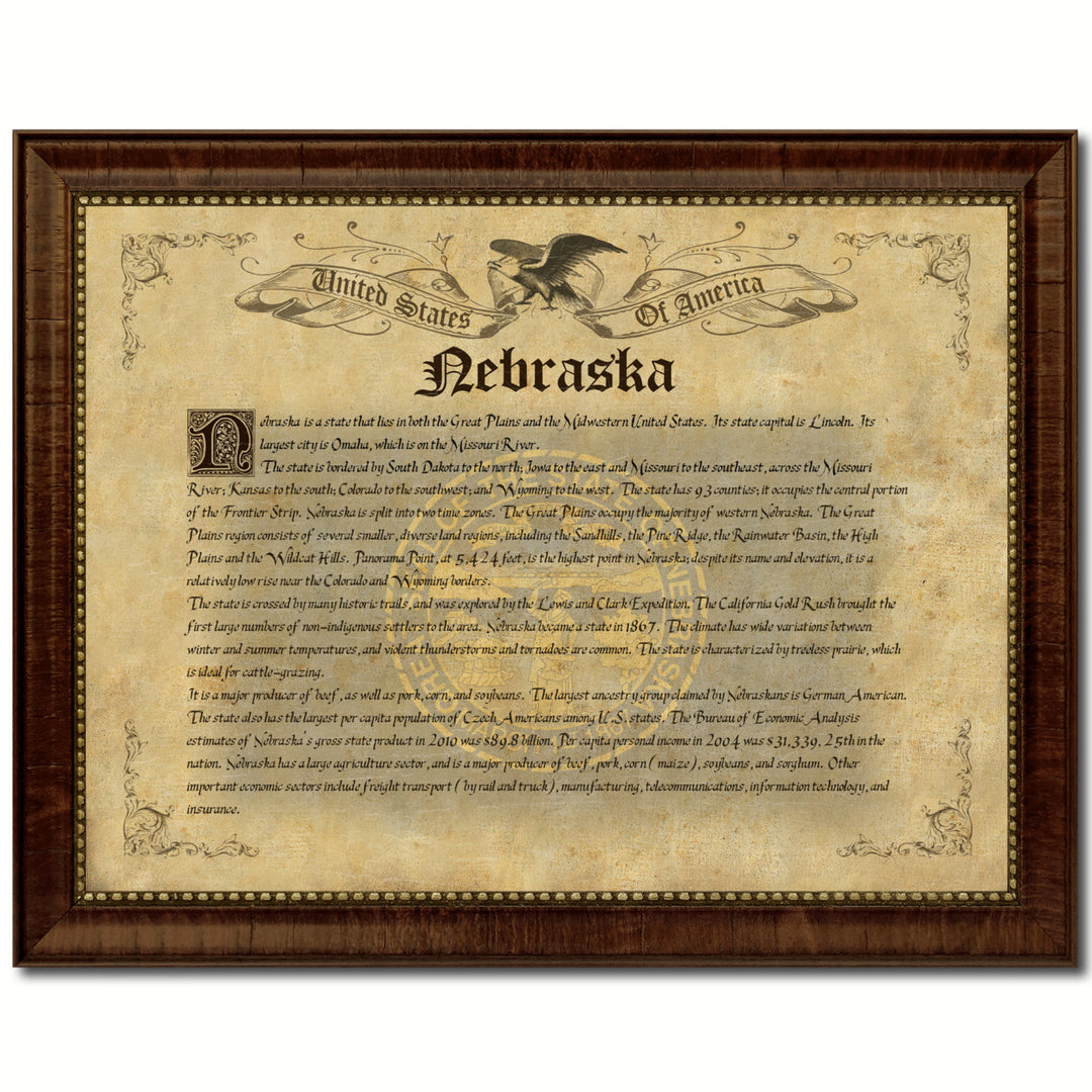 Nebraska State Vintage History Flag Canvas Print with Picture Frame  Wall Art Decoration Gift Ideas Image 1