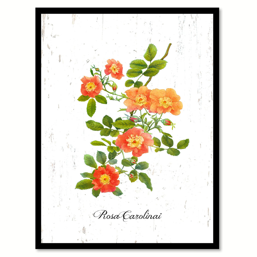 Orange Carolinai Rose Flower Canvas Print with Picture Frame  Wall Art Gifts Image 1