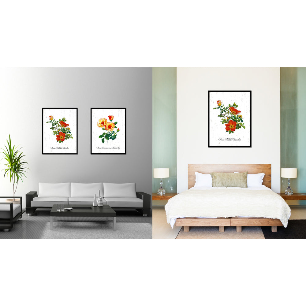 Orange Foetida Bicolor Rose Flower Canvas Print with Picture Frame  Wall Art Gifts Image 2