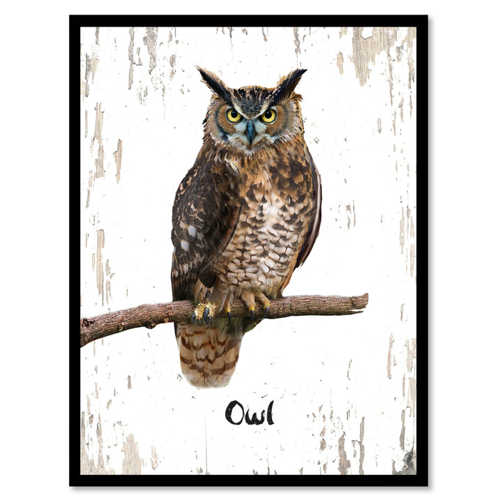 Owl Bird Canvas Print with Black Picture Frame Gift Ideas  Wall Art Decoration Image 1