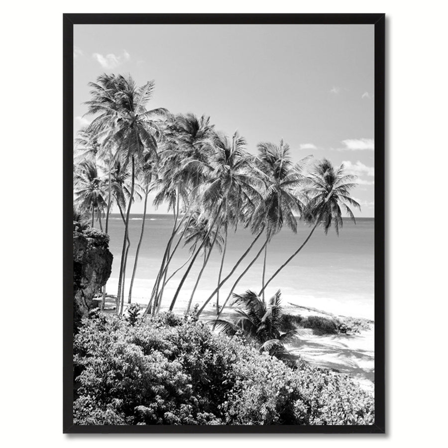 Palm Tree BandW Landscape Photo Canvas Print Pictures Frame Home Dcor Wall Art Gifts Image 1